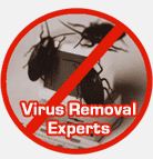 Los Angeles Virus Removal